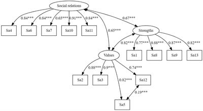 Internal and external self-affirmation resources: validation and assessment of psychometric properties of the spontaneous self-affirmation measure using structural equation modeling